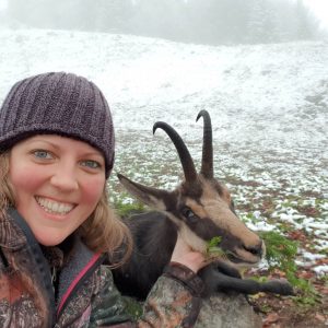 Chamois in Romania