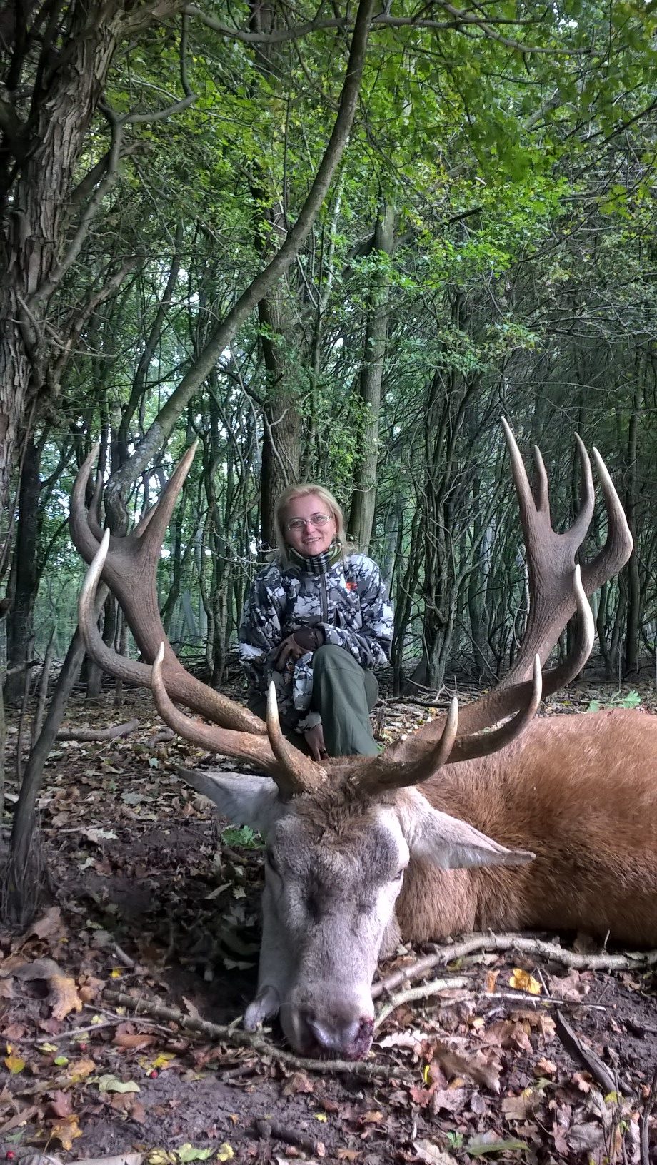 Redstag hunt Hungary